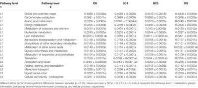 Long-Term Successive Biochar Amendments Alter the Composition and α-Diversity of Bacterial Community of Paddy Soil in Rice-Wheat Rotation